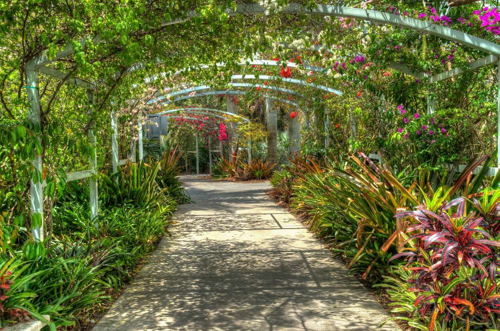 Wenn Sie die Natur lieben, oder seit Ihrer Kindheit Blumenliebhaber und vielleicht ein Hobbygärtner sind, könnten Sie in einem botanischen Garten heiraten.